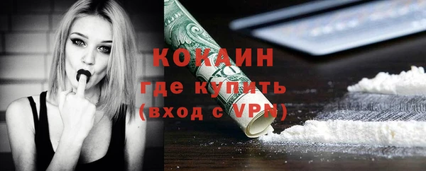 гашик Гусев
