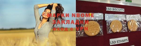 молекула духа Гусиноозёрск
