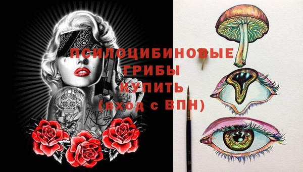 соль ск Гусь-Хрустальный