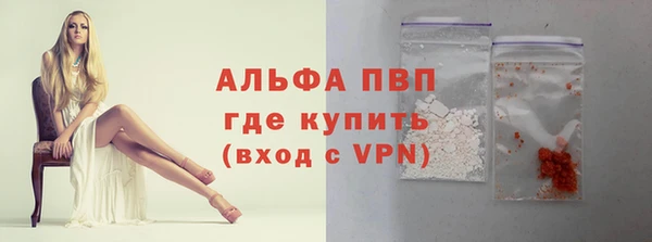 гашик Гусев
