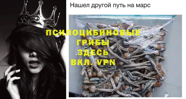 a pvp Дмитровск