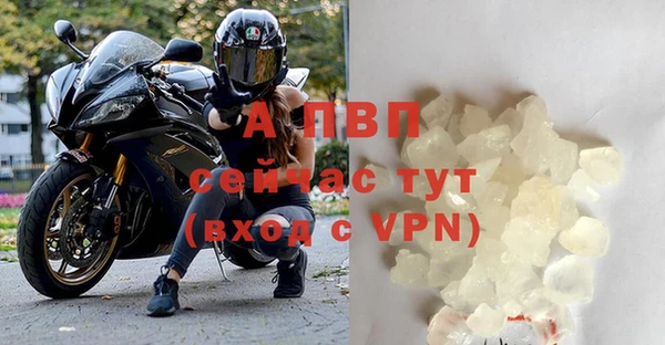 молекула духа Гусиноозёрск